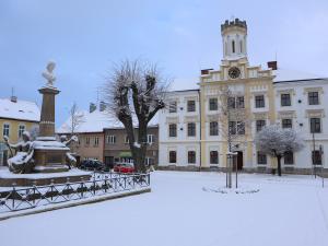 Vyhodnocení ankety o staré radnici 2