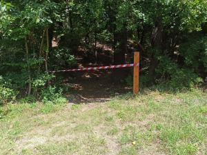 Trail